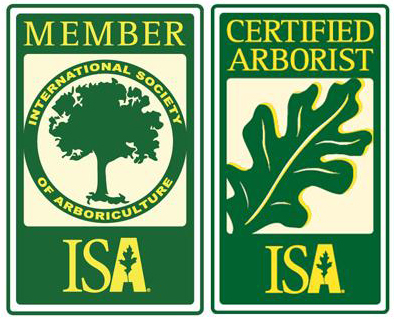 ISA logo